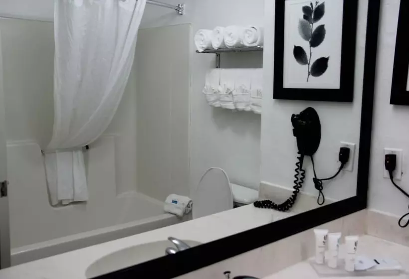 בית מלון כפרי Country Inn & Suites By Radisson, Jacksonville, Fl