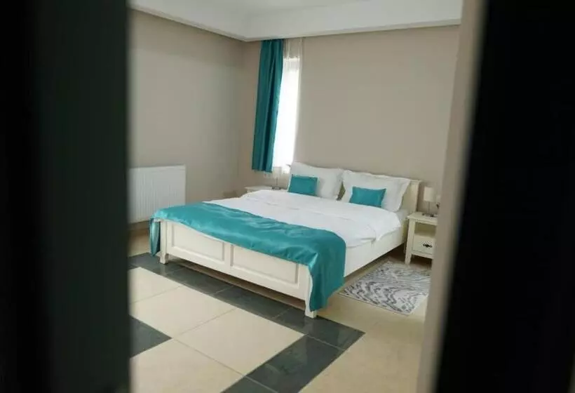 ホテル Pensiunea Green Villa