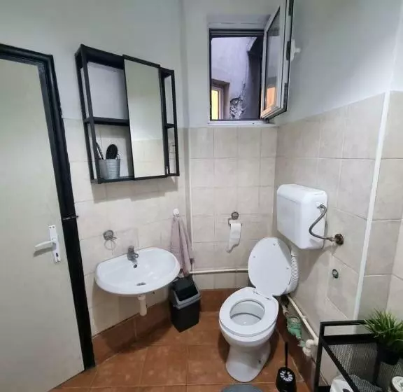 Downtown Belgrade Hostel And Apartments