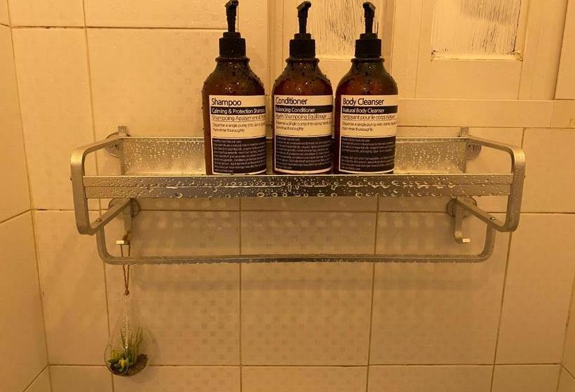 膳宿费 Green Concrete