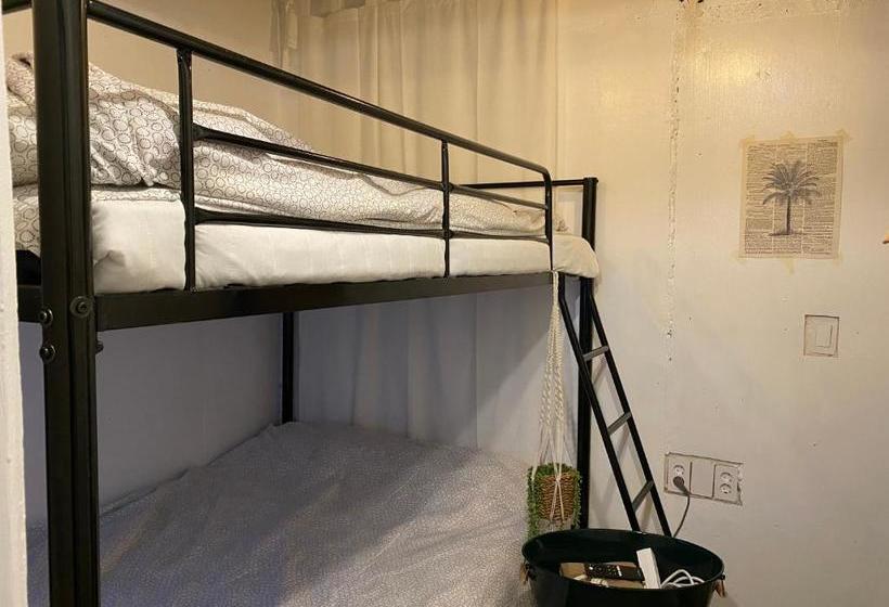 膳宿费 Green Concrete