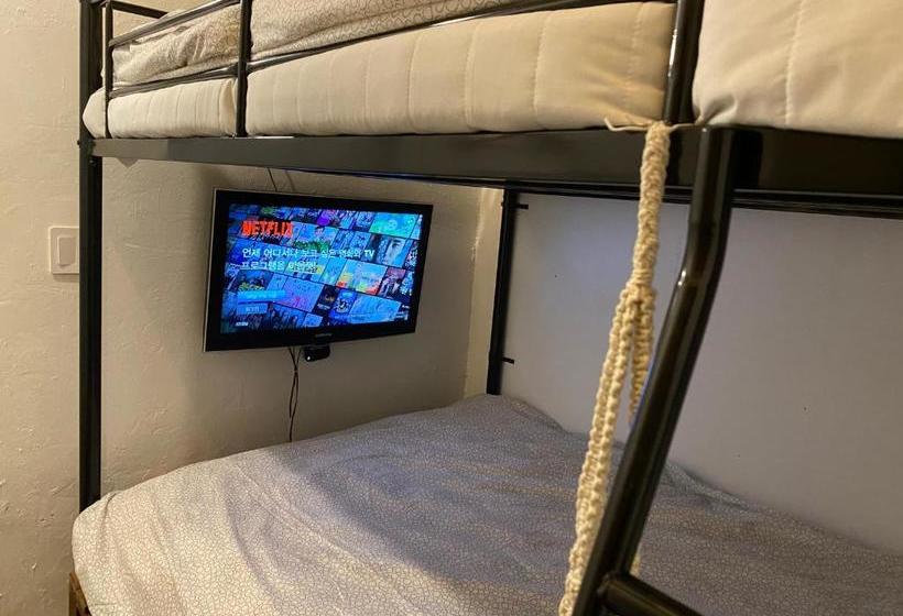 膳宿费 Green Concrete