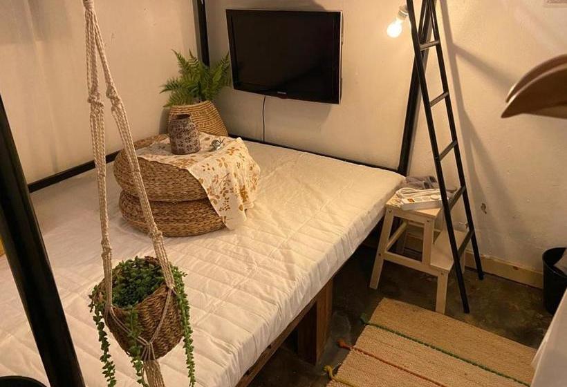 膳宿费 Green Concrete