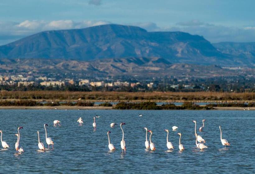 Santa Pola Apartments