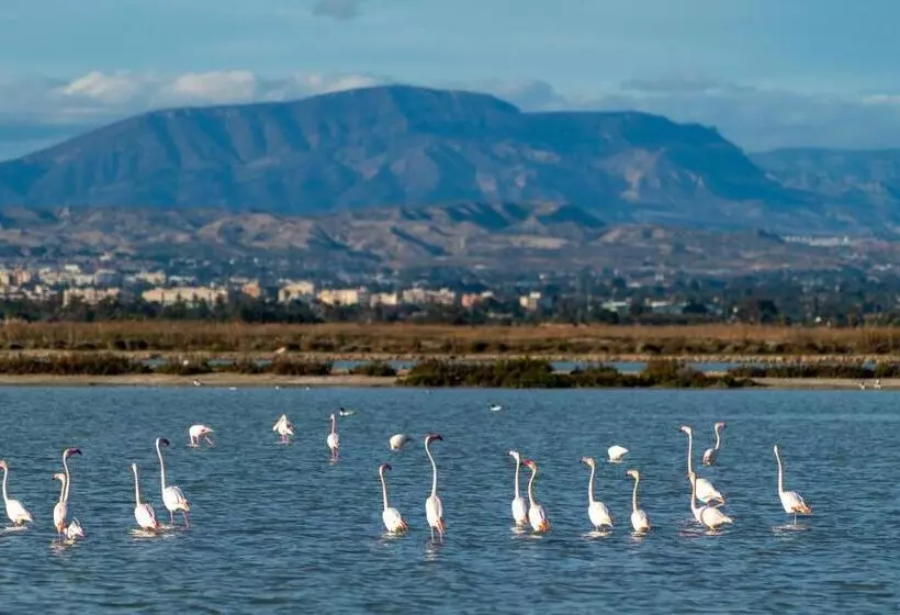 Santa Pola Apartments