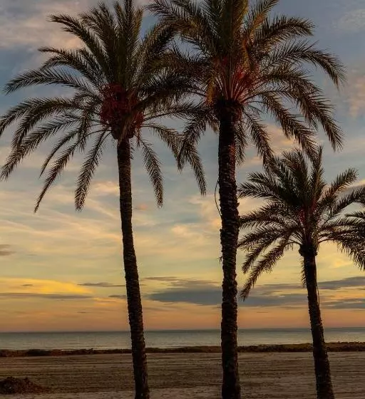 Santa Pola Apartments