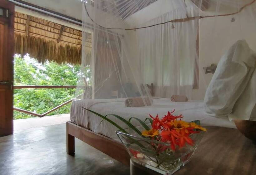 ホテル Celeste Del Mar