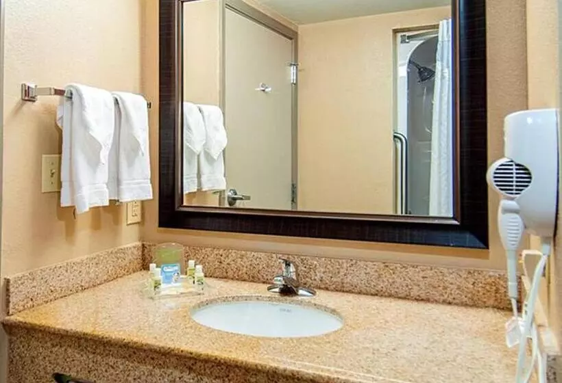 Holiday Inn Hotel & Suites Slidell, An Ihg