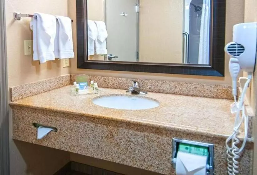 Holiday Inn Hotel & Suites Slidell, An Ihg