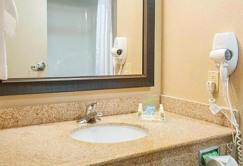 Holiday Inn Hotel & Suites Slidell, An Ihg