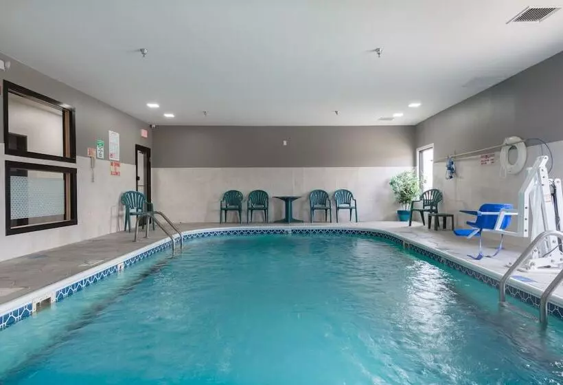 호텔 Baymont By Wyndham Morton