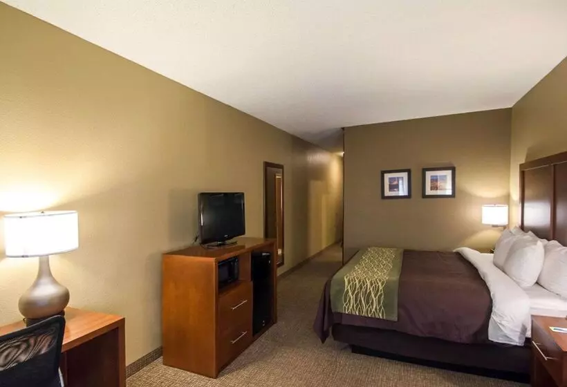 Hotel Comfort Inn & Suites
