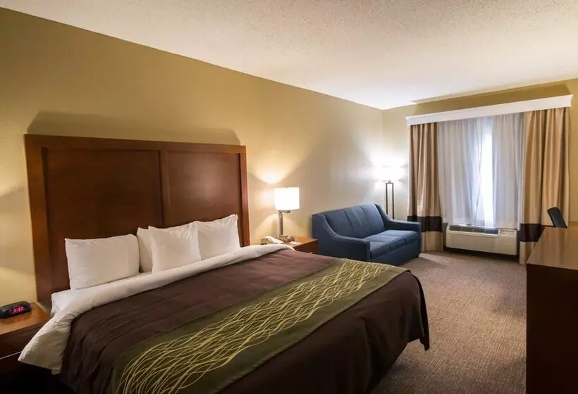 Hotel Comfort Inn & Suites