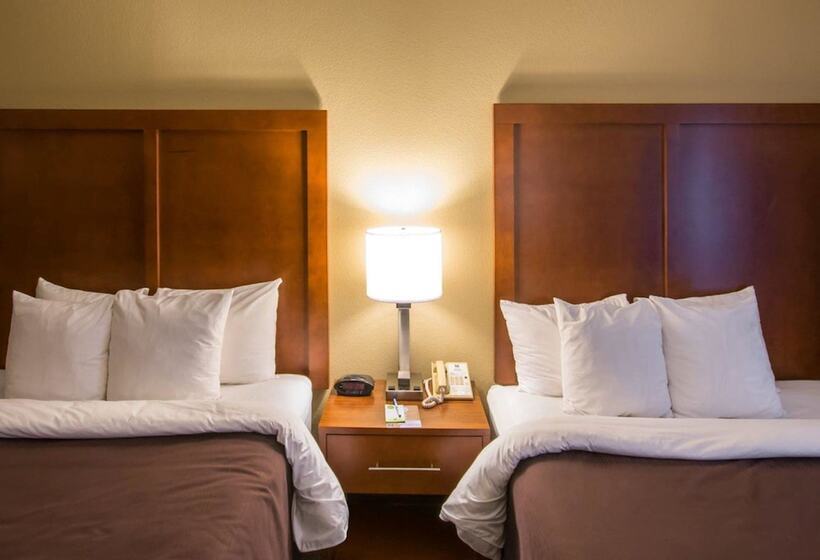 فندق Comfort Inn & Suites