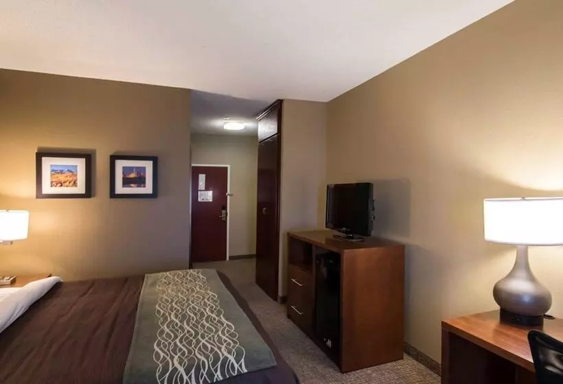 Hotel Comfort Inn & Suites