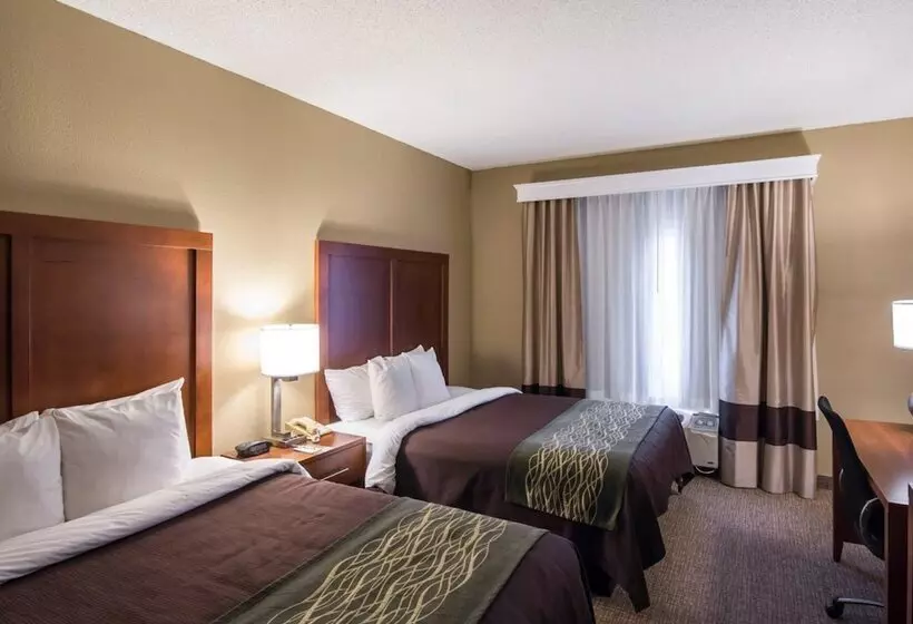 Hotel Comfort Inn & Suites