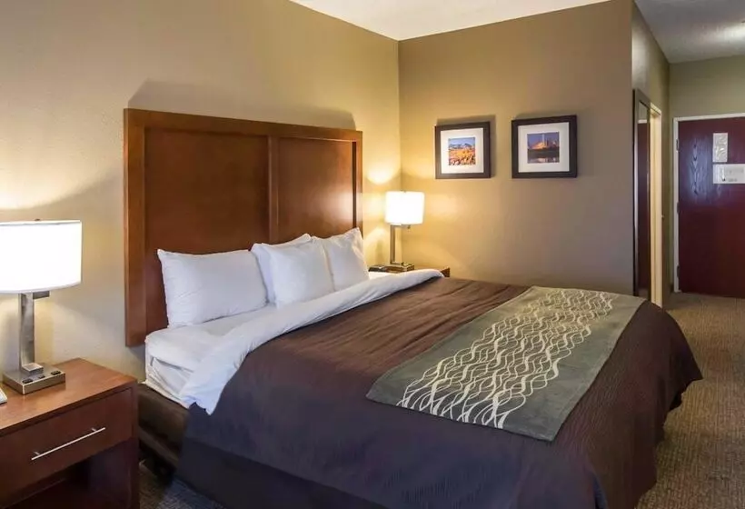 Hotel Comfort Inn & Suites