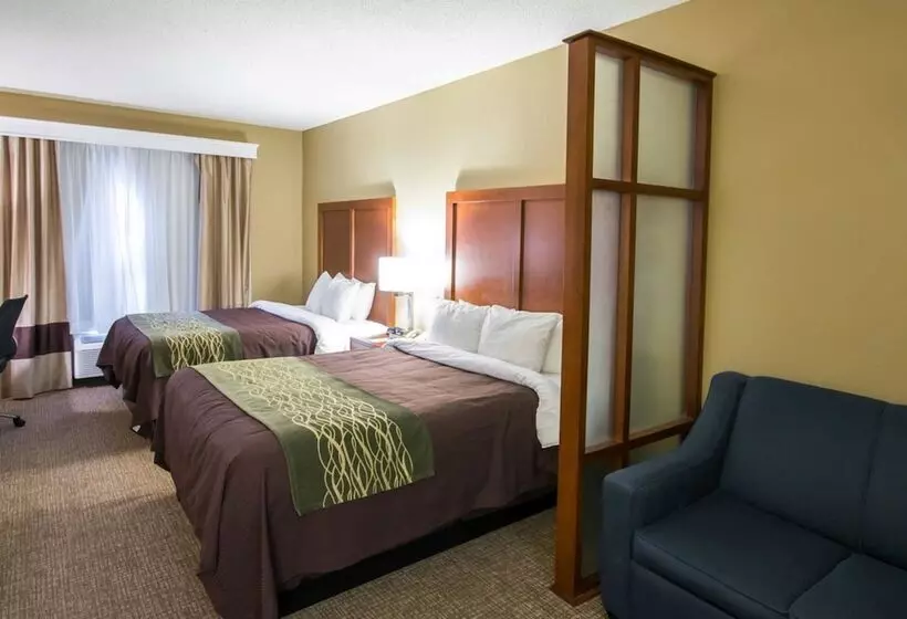 Hotel Comfort Inn & Suites