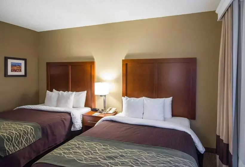 Hotel Comfort Inn & Suites