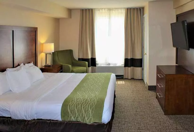 호텔 Comfort Inn & Suites St Louis   Chesterfield