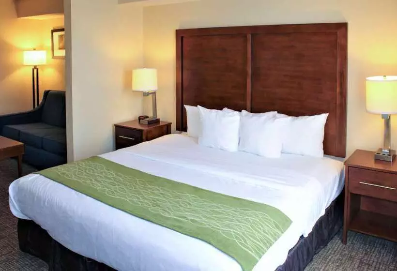 호텔 Comfort Inn & Suites St Louis   Chesterfield