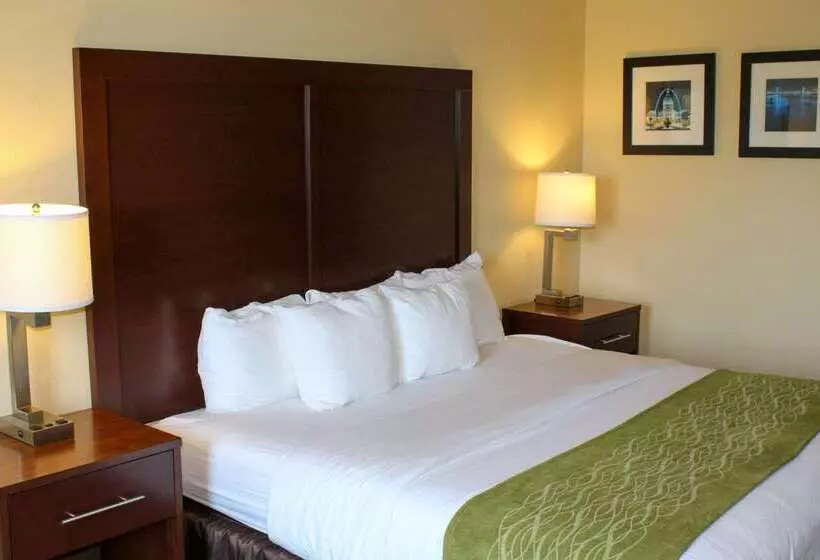호텔 Comfort Inn & Suites St Louis   Chesterfield