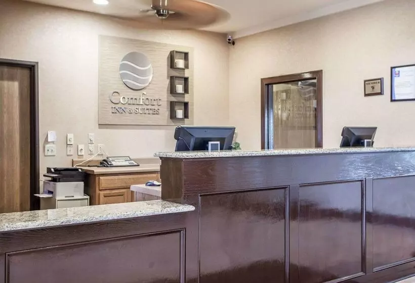 호텔 Comfort Inn & Suites St Louis   Chesterfield