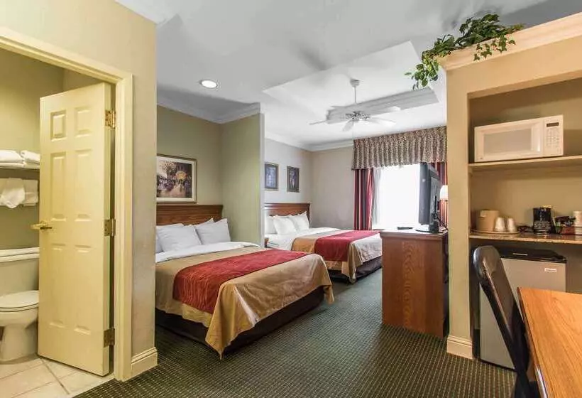 酒店 Comfort Inn At Founders Tower