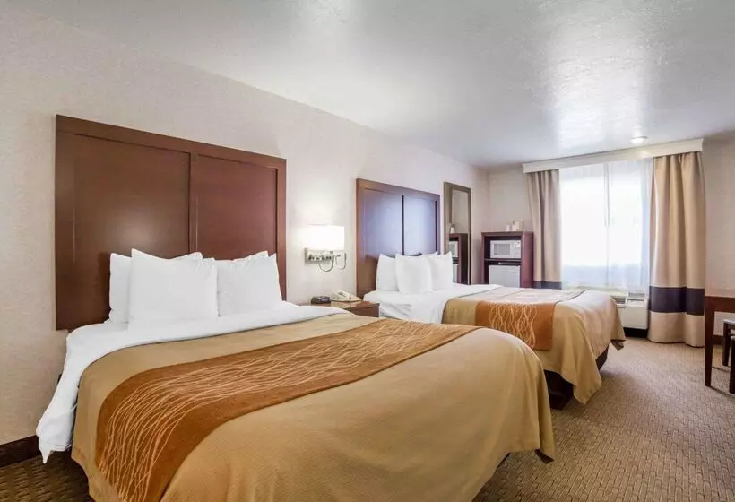 فندق Comfort Inn Elko