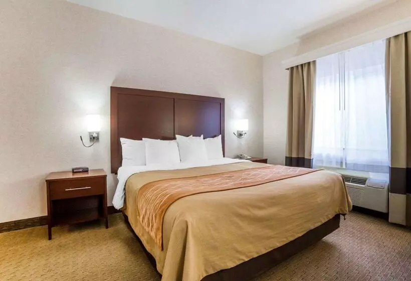 فندق Comfort Inn Elko