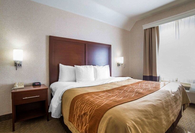 هتل Comfort Inn Elko