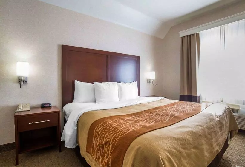 فندق Comfort Inn Elko