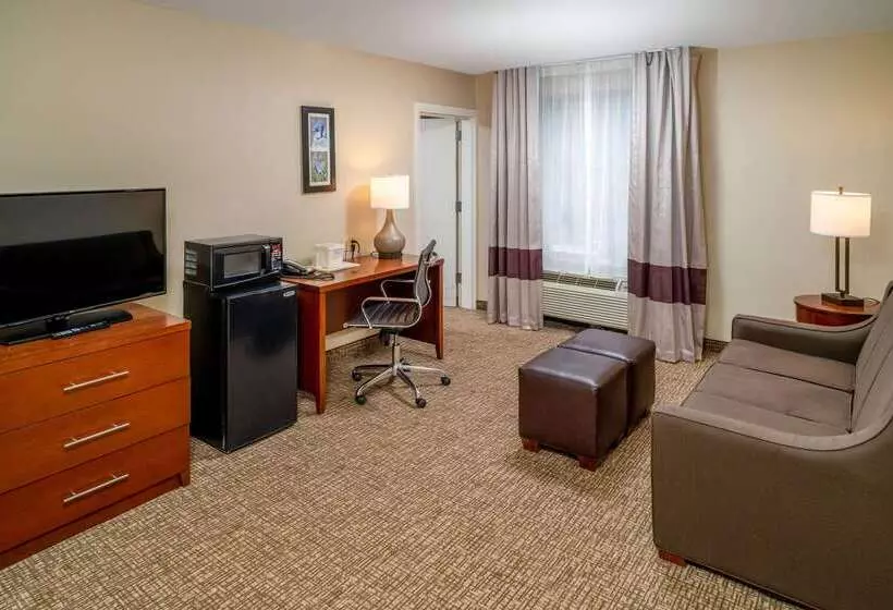 호텔 Comfort Inn & Suites