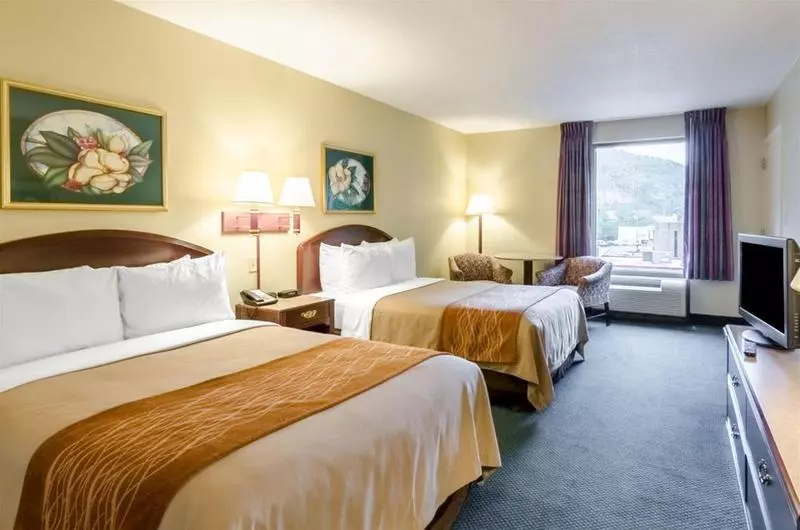 호텔 Comfort Inn & Suites