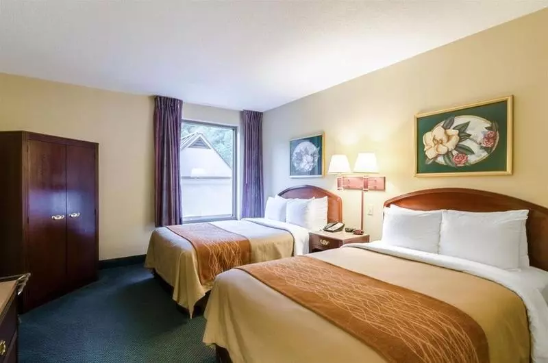 호텔 Comfort Inn & Suites