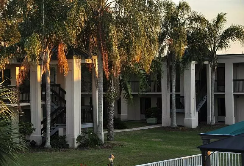 فندق Winter Haven Gardens