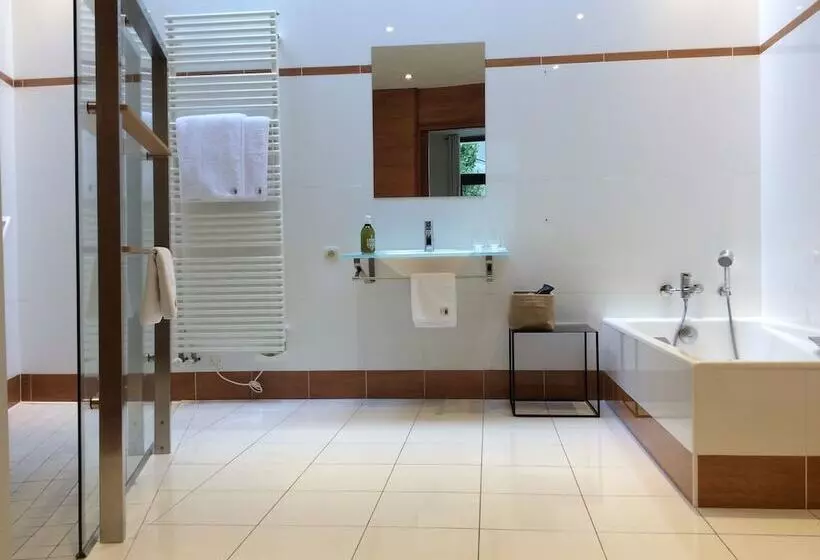 Отель De France