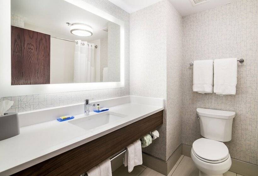 فندق Holiday Inn Express   Plymouth, An Ihg