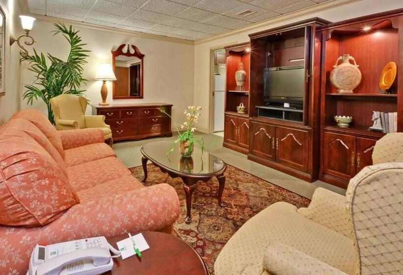 Otel Holiday Inn Memphis University Of Memphis, An Ihg