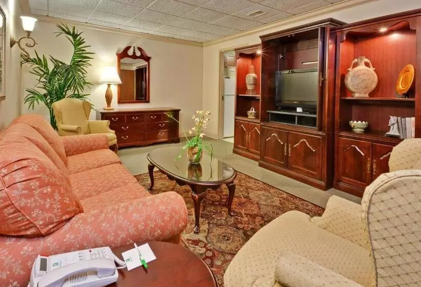 酒店 Holiday Inn Memphis University Of Memphis, An Ihg