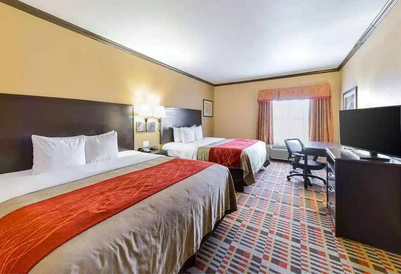 酒店 Quality Inn & Suites