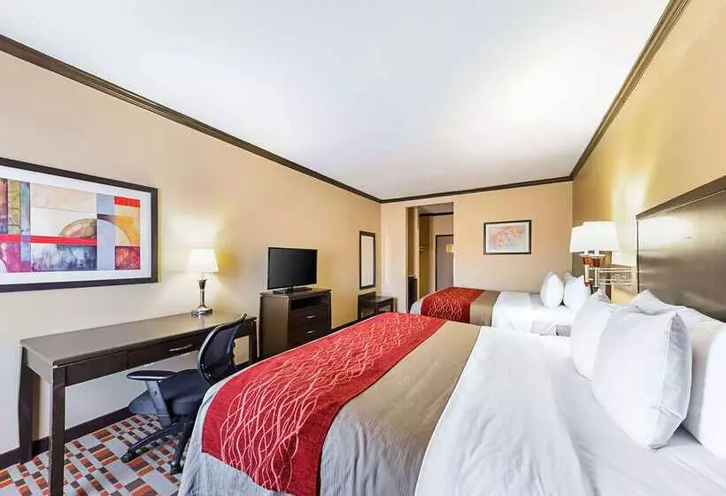 酒店 Quality Inn & Suites