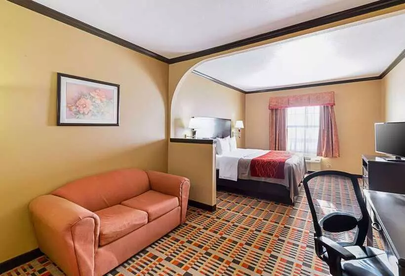 酒店 Quality Inn & Suites