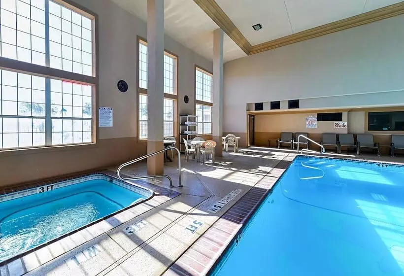 酒店 Quality Inn & Suites