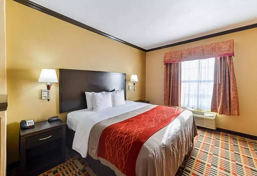 酒店 Quality Inn & Suites