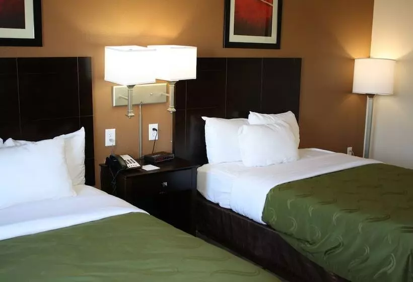 酒店 Quality Inn & Suites Wichita Falls I 44