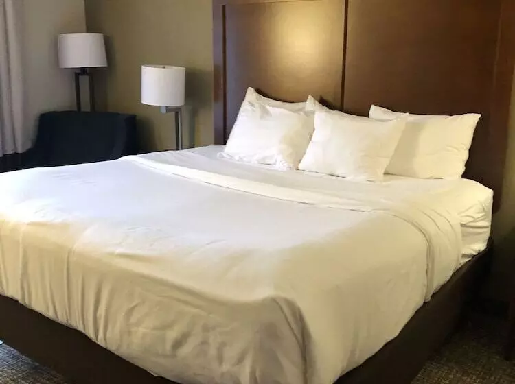 酒店 Wingate By Wyndham Grove City