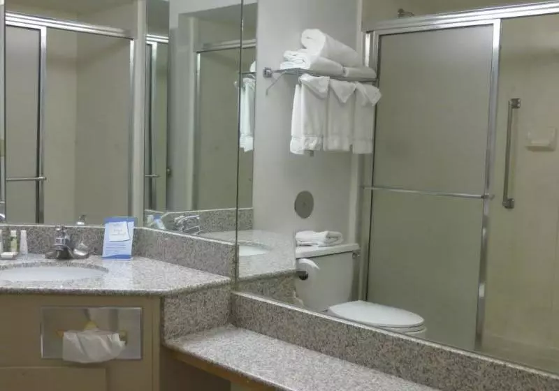 ホテル Baymont Inn & Suites Omaha