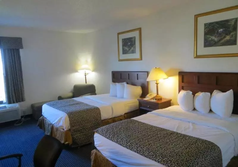 ホテル Baymont Inn & Suites Omaha