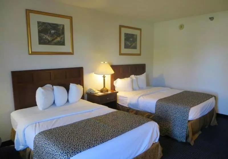 ホテル Baymont Inn & Suites Omaha